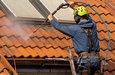 Démoussage et hydrofuge de toiture à Vorges